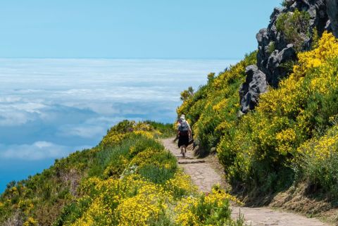 wandelpad langs de berg met veel bloemen